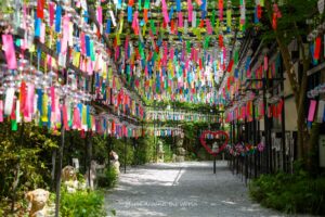 Tunnel of rainbow windchimes.